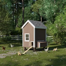 Colonial Gable Coop lifestyle