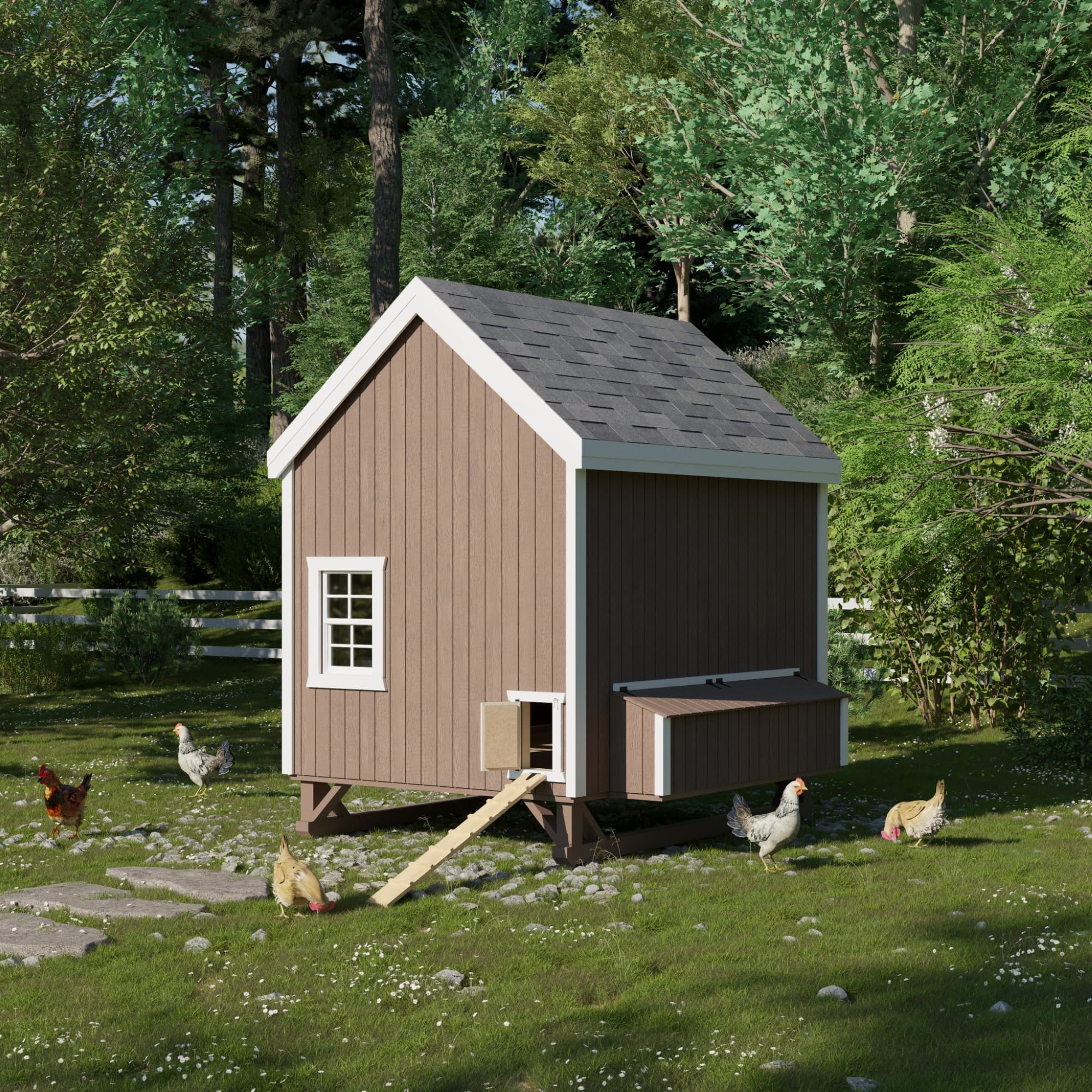 Colonial Gable Coop lifestyle