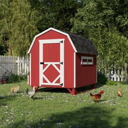 Gambrel Barn Coop lifestyle