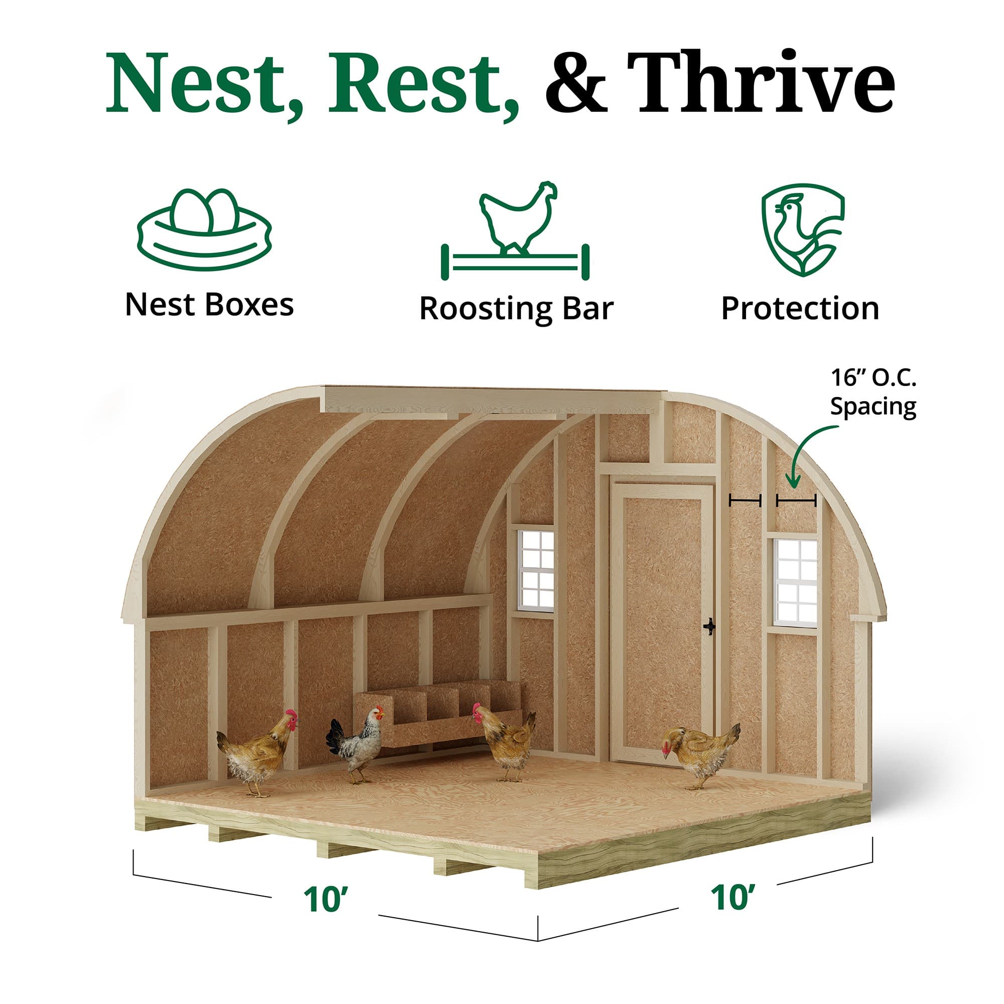 Round Roof Coop interior graphic