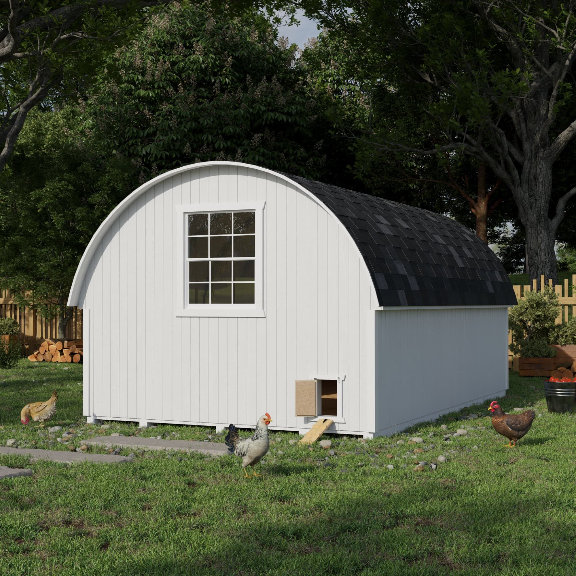 Round Roof Chicken Coop lifestyle