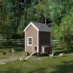 Colonial Gable Chicken Coop lifestyle