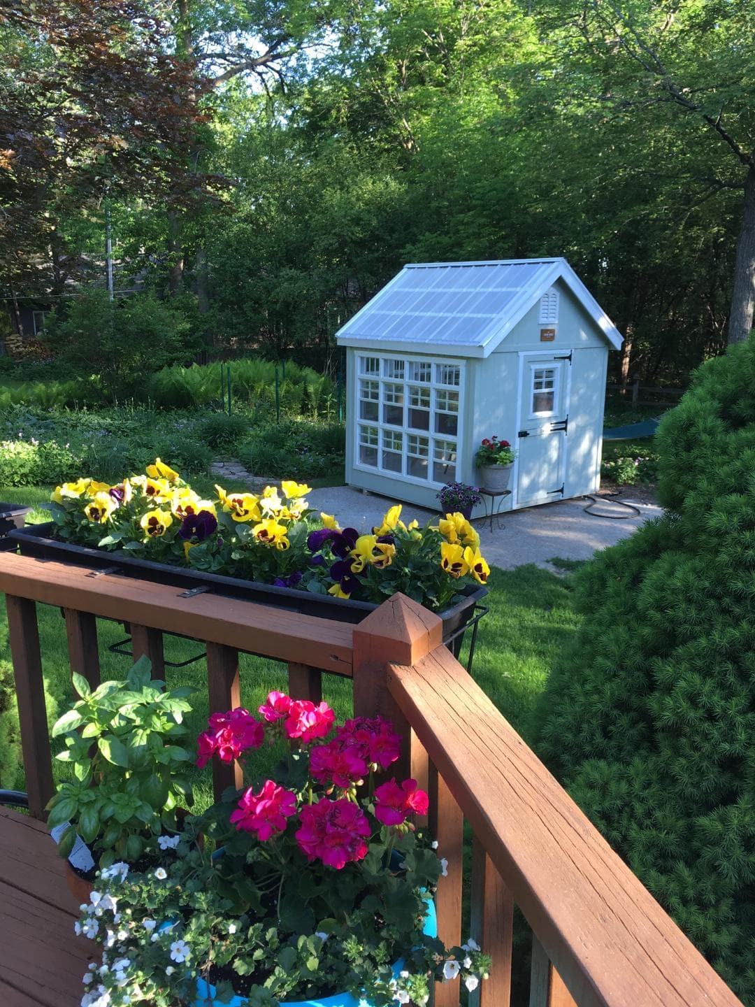 colonial gable greenhouse in backyard