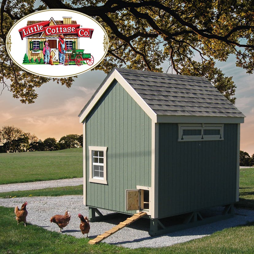 Green chicken coop in backyard with chickens in front of.