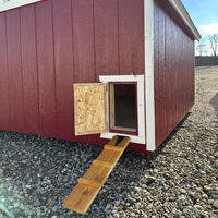 8x8 Value A-Frame Chicken Coop ramp door