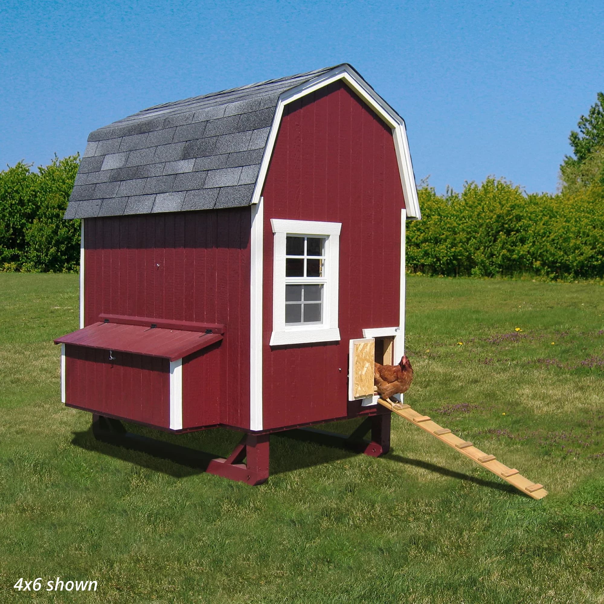 Chicken Coop Building Plan at Robert Dutcher blog Chicken Coop Building Plan at Robert Dutcher blog